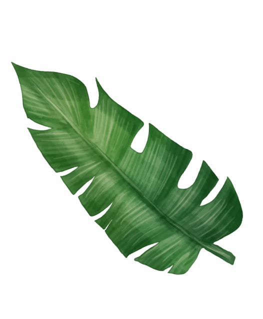 leaf2.png
